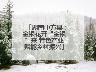 湖南中方县：金银花开“金银”来 特色产业赋能乡村振兴