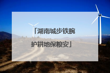 湖南城步铁腕护耕地保粮安