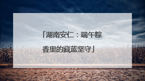 湖南安仁：端午粽香里的藏蓝坚守