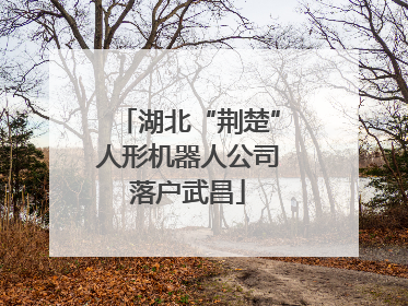 湖北“荆楚”人形机器人公司落户武昌