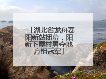湖北省龙舟赛阳新站闭幕，阳新下屋村勇夺地方组冠军