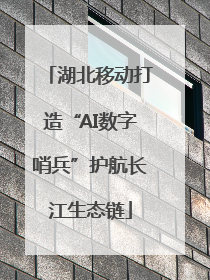 湖北移动打造“AI数字哨兵”护航长江生态链