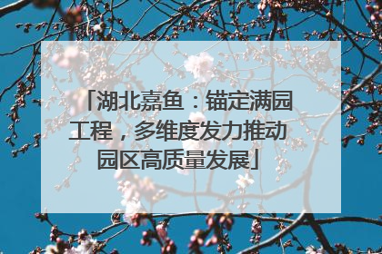 湖北嘉鱼：锚定满园工程，多维度发力推动园区高质量发展