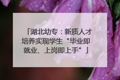 湖北幼专：新质人才培养实现学生“毕业即就业、上岗即上手”