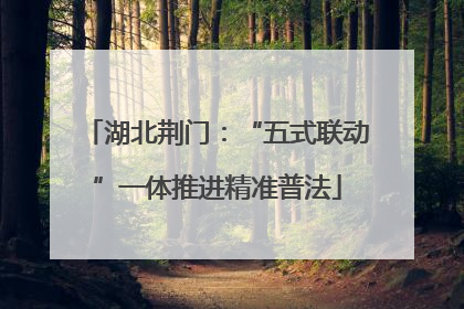 湖北荆门：“五式联动”一体推进精准普法