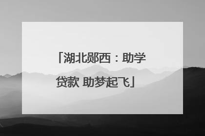 湖北郧西：助学贷款 助梦起飞