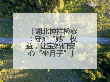 湖北钟祥检察：守护“她”权益，让宝妈们安心“坐月子”