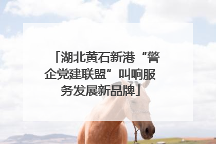 湖北黄石新港“警企党建联盟”叫响服务发展新品牌