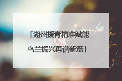 湖州援青精准赋能 乌兰振兴再谱新篇