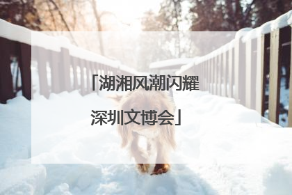 湖湘风潮闪耀深圳文博会