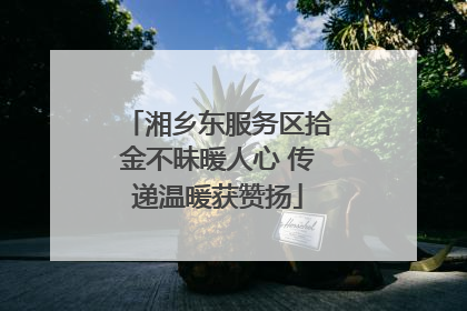 湘乡东服务区拾金不昧暖人心 传递温暖获赞扬