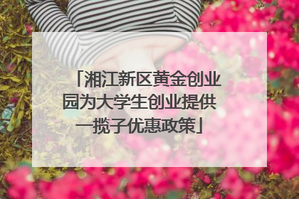 湘江新区黄金创业园为大学生创业提供一揽子优惠政策
