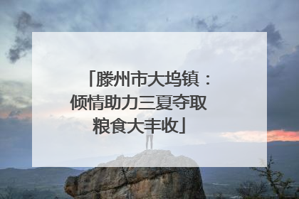 滕州市大坞镇：倾情助力三夏夺取粮食大丰收