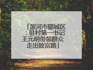 漯河市郾城区：驻村第一书记王元明带领群众走出致富路