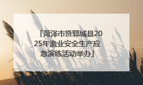 菏泽市暨郓城县2025年渔业安全生产应急演练活动举办