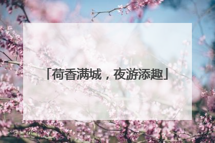 荷香满城，夜游添趣