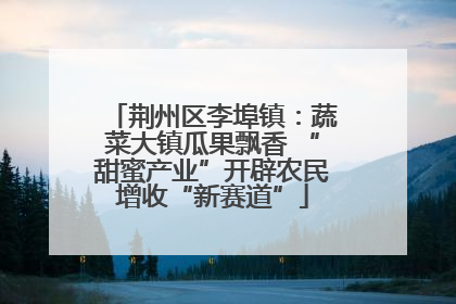荆州区李埠镇：蔬菜大镇瓜果飘香 “甜蜜产业”开辟农民增收“新赛道”
