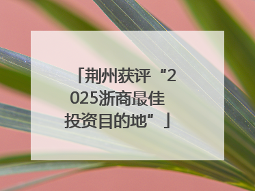 荆州获评“2025浙商最佳投资目的地”
