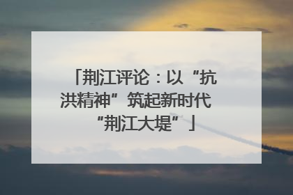荆江评论：以“抗洪精神”筑起新时代“荆江大堤”
