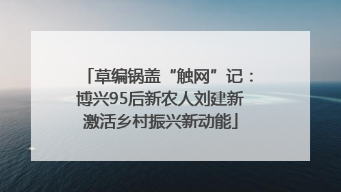草编锅盖“触网”记：博兴95后新农人刘建新激活乡村振兴新动能
