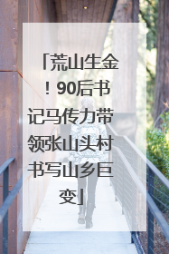 荒山生金！90后书记马传力带领张山头村书写山乡巨变