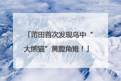 莆田首次发现鸟中“大熊猫”黄腹角雉！