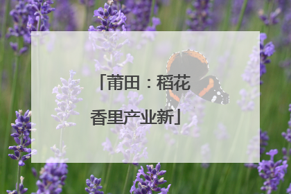 莆田：稻花香里产业新