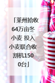 莱州抢收64万亩冬小麦 投入小麦联合收割机1500台