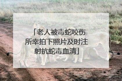 老人被毒蛇咬伤 所幸拍下照片及时注射抗蛇毒血清