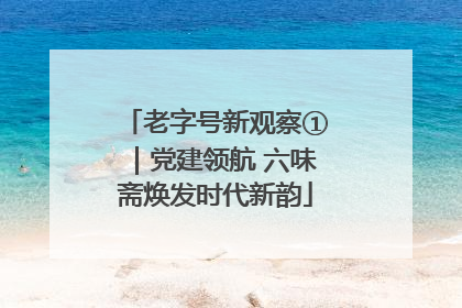 老字号新观察①｜党建领航 六味斋焕发时代新韵