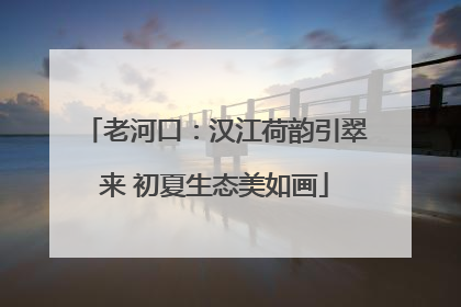 老河口：汉江荷韵引翠来 初夏生态美如画