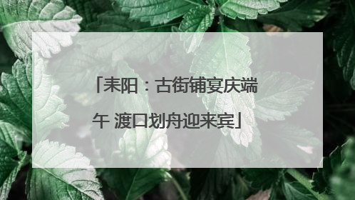 耒阳：古街铺宴庆端午 渡口划舟迎来宾