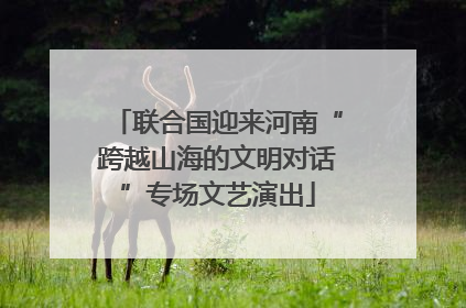 联合国迎来河南“跨越山海的文明对话”专场文艺演出