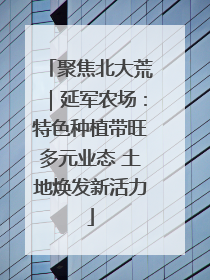 聚焦北大荒｜延军农场：特色种植带旺多元业态 土地焕发新活力