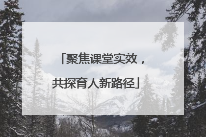 聚焦课堂实效，共探育人新路径