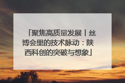 聚焦高质量发展丨丝博会里的技术脉动：陕西科创的突破与想象