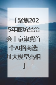 聚焦2025年廊坊经洽会丨京津冀首个AI招商选址大模型亮相