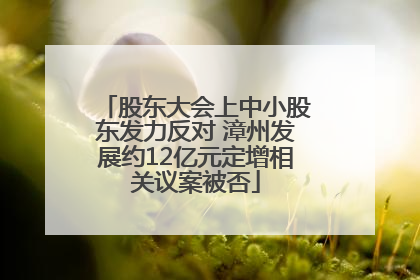 股东大会上中小股东发力反对 漳州发展约12亿元定增相关议案被否
