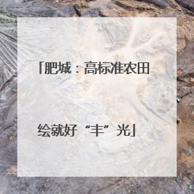 肥城：高标准农田绘就好“丰”光