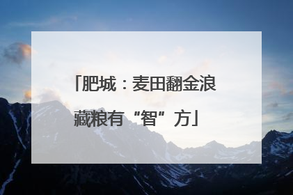肥城：麦田翻金浪藏粮有“智”方
