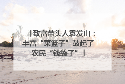 致富带头人袁发山：丰富“菜篮子”鼓起了农民“钱袋子”