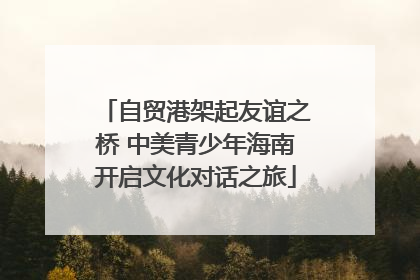 自贸港架起友谊之桥 中美青少年海南开启文化对话之旅