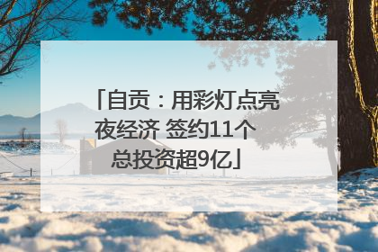 自贡：用彩灯点亮夜经济 签约11个总投资超9亿