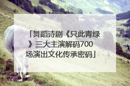 舞蹈诗剧《只此青绿》三大主演解码700场演出文化传承密码