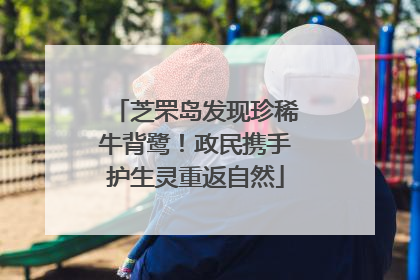芝罘岛发现珍稀牛背鹭！政民携手护生灵重返自然