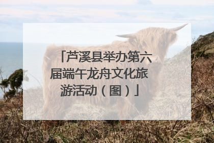 芦溪县举办第六届端午龙舟文化旅游活动（图）