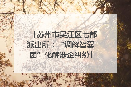 苏州市吴江区七都派出所：“调解智囊团”化解涉企纠纷