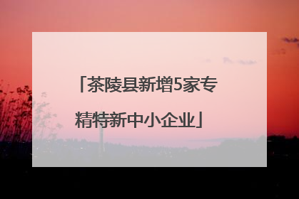 茶陵县新增5家专精特新中小企业