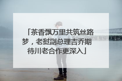 茶香飘万里共筑丝路梦，老挝副总理吉乔期待川老合作更深入