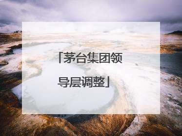 茅台集团领导层调整